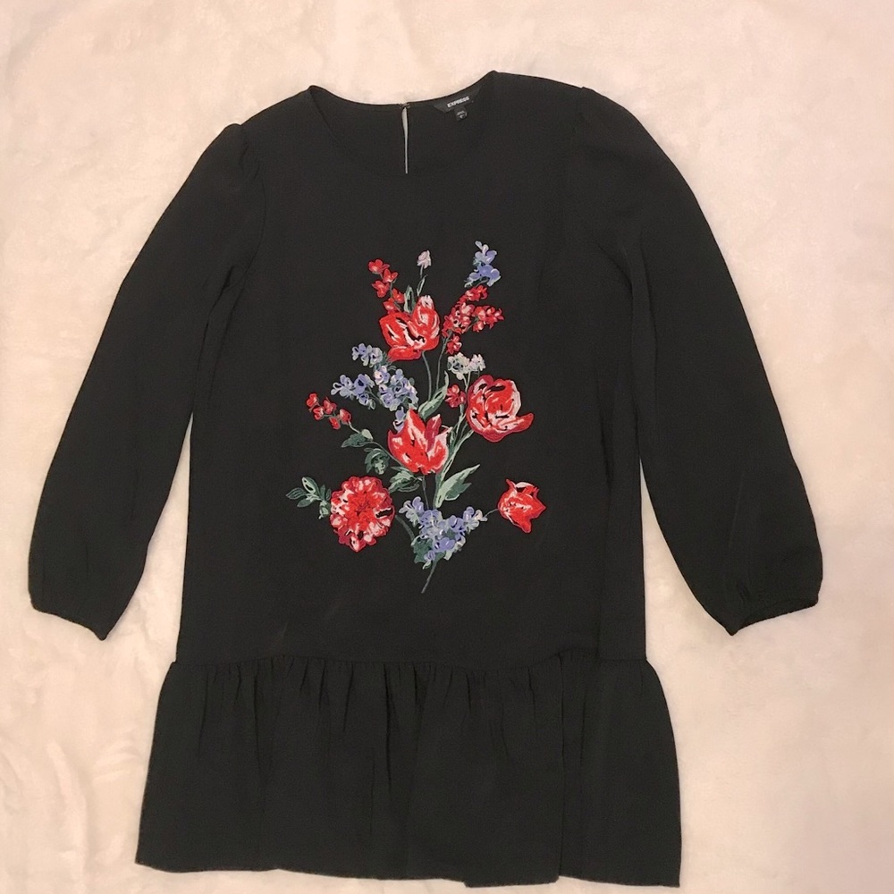 Express black drop waist embroidered dress